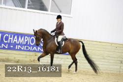 22R13_16181 proof
