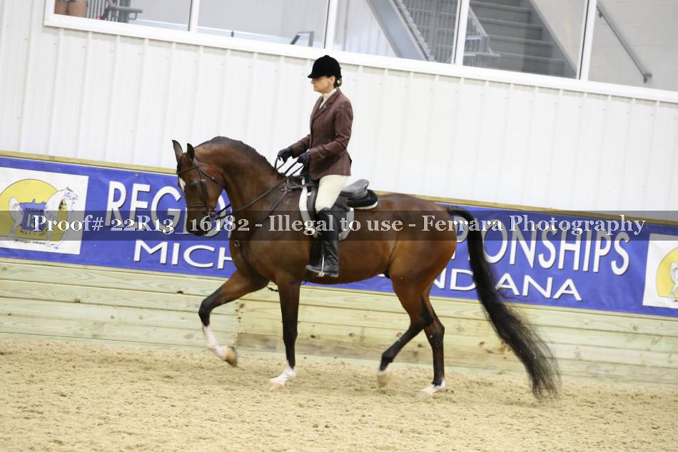 Proof 22R13_16182