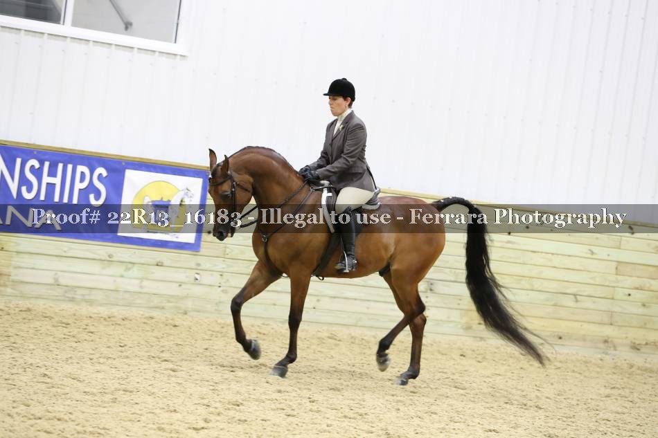 Proof 22R13_16183