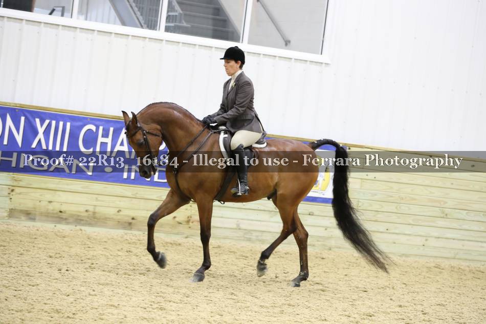 Proof 22R13_16184