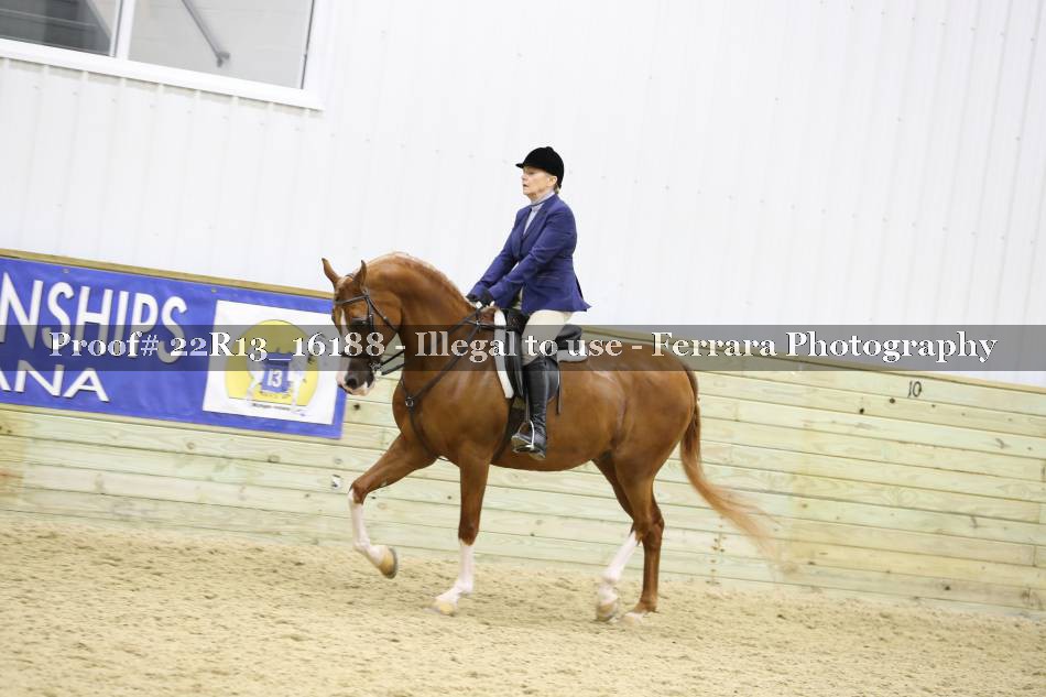 Proof 22R13_16188