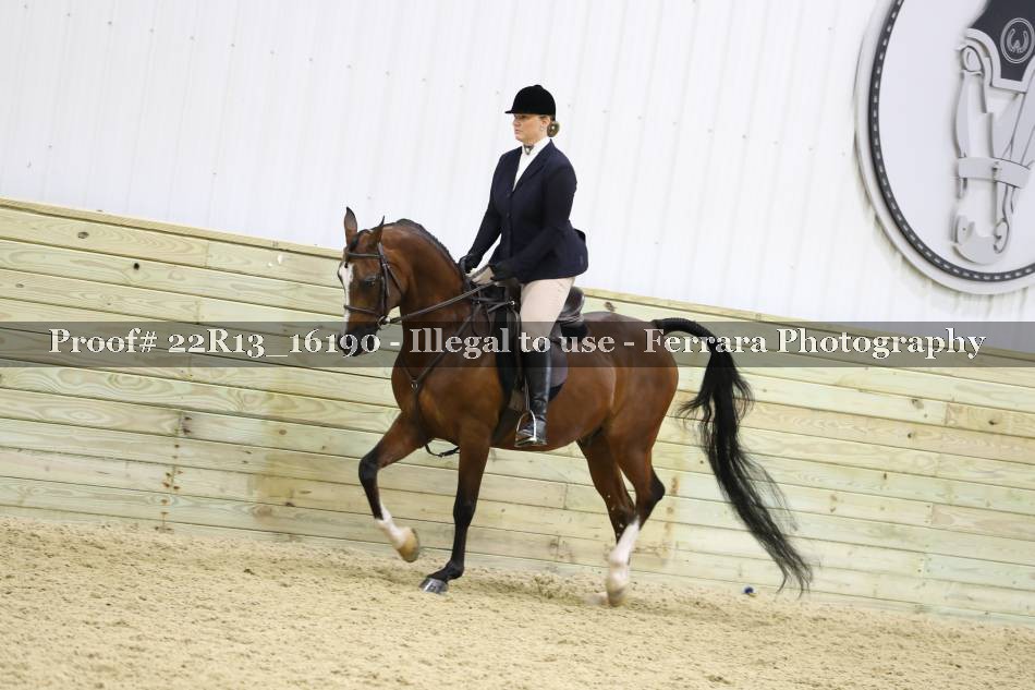 Proof 22R13_16190