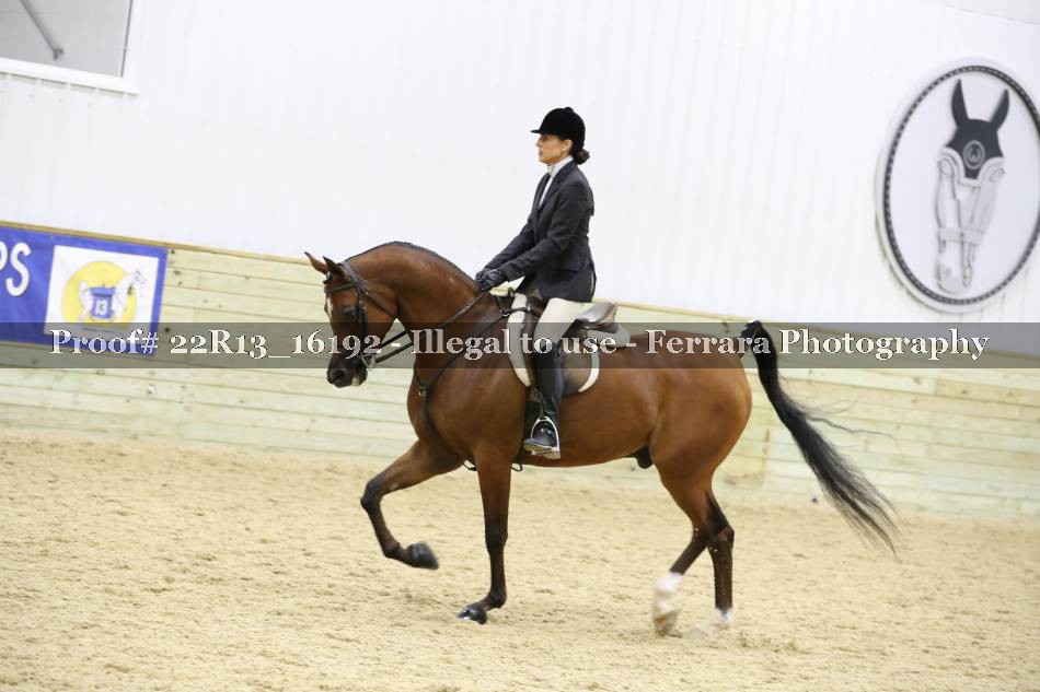 Proof 22R13_16192