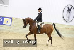22R13_16192 proof