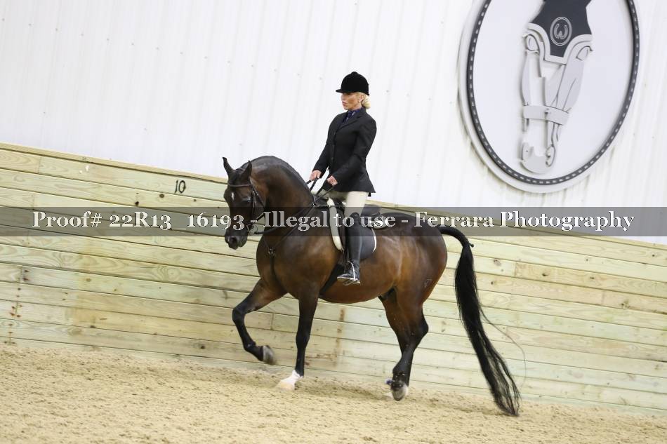Proof 22R13_16193