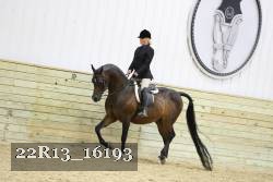 22R13_16193 proof