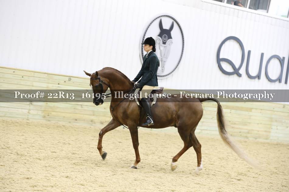 Proof 22R13_16195