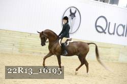 22R13_16195 proof