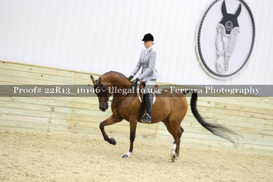 Proof 22R13_16196