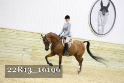 22R13_16196 proof