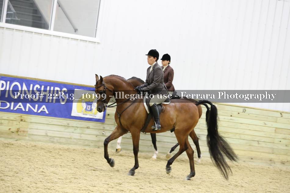 Proof 22R13_16199