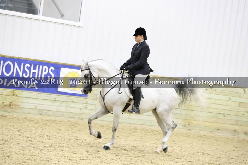 Proof 22R13_16201