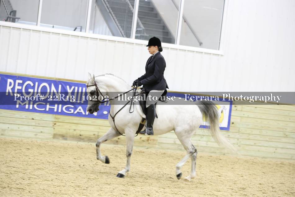 Proof 22R13_16202