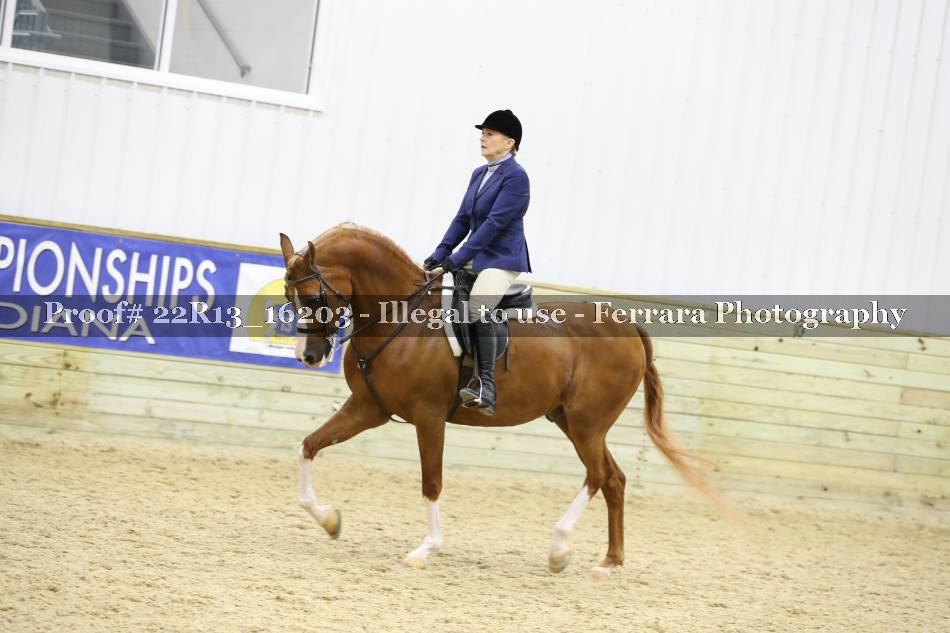 Proof 22R13_16203