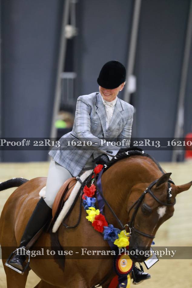Proof 22R13_16210