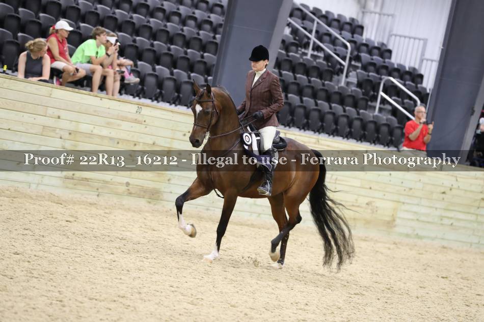Proof 22R13_16212