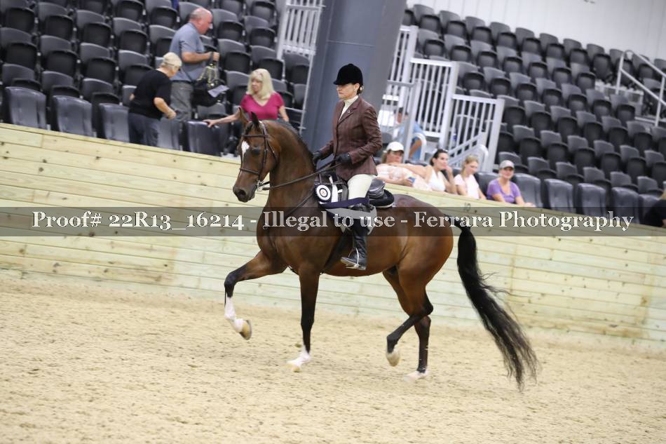 Proof 22R13_16214