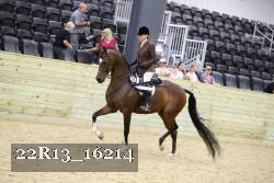 22R13_16214 proof