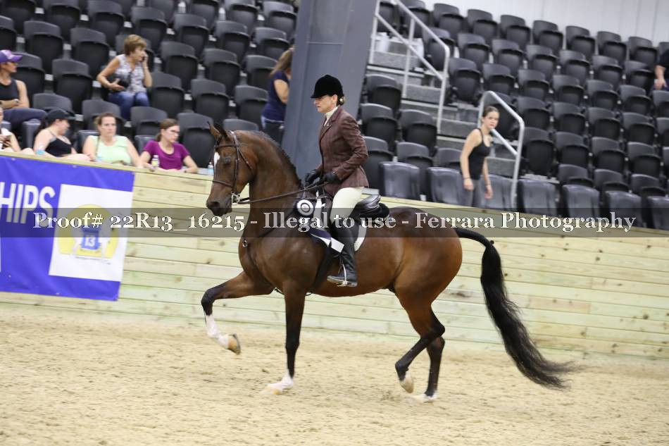 Proof 22R13_16215