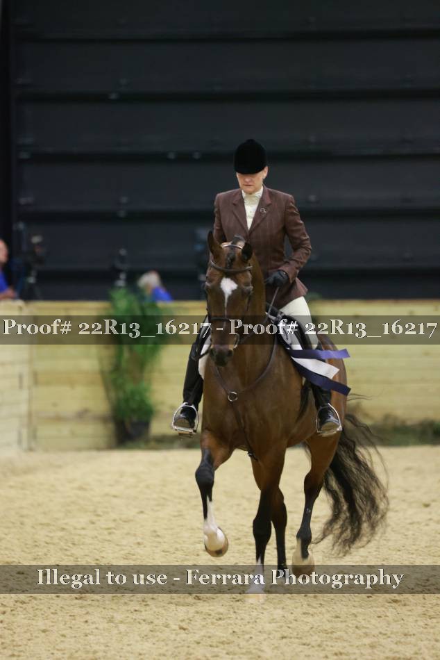 Proof 22R13_16217