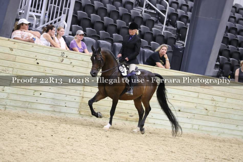 Proof 22R13_16218