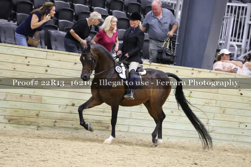 Proof 22R13_16219