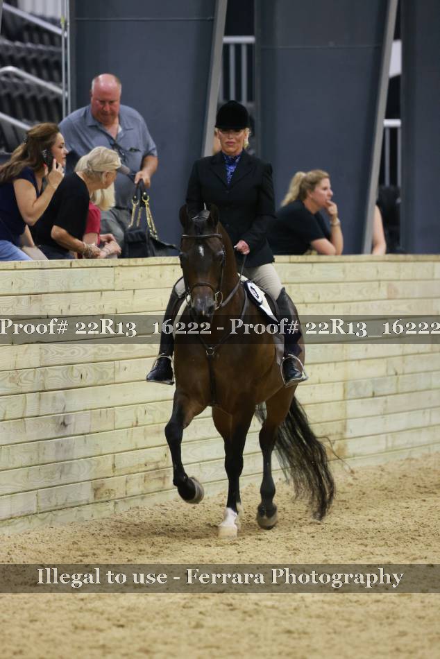 Proof 22R13_16222