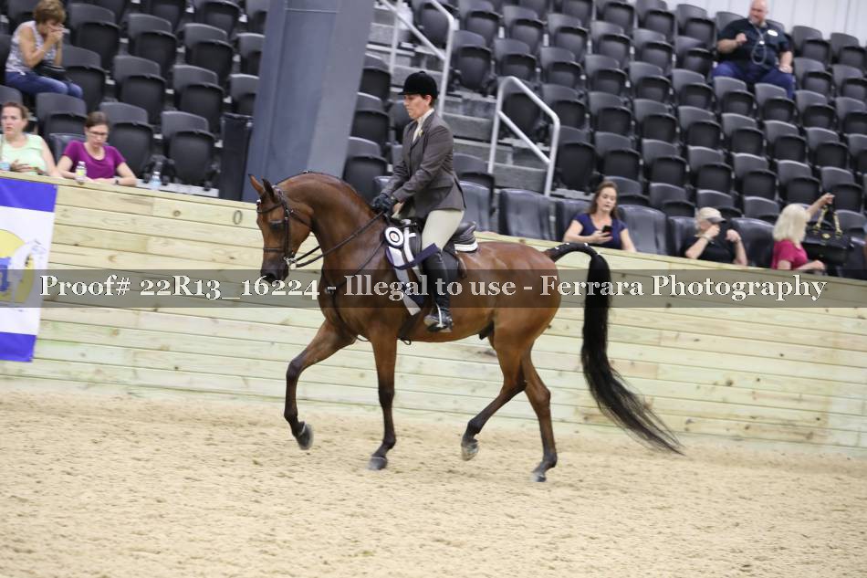 Proof 22R13_16224