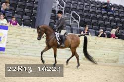 22R13_16224 proof