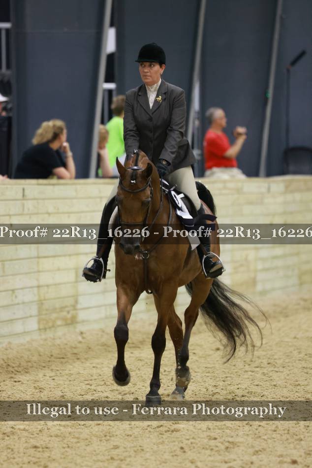 Proof 22R13_16226