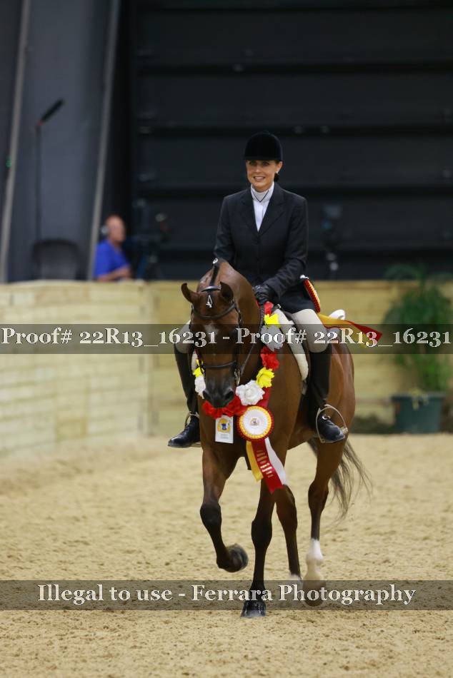 Proof 22R13_16231