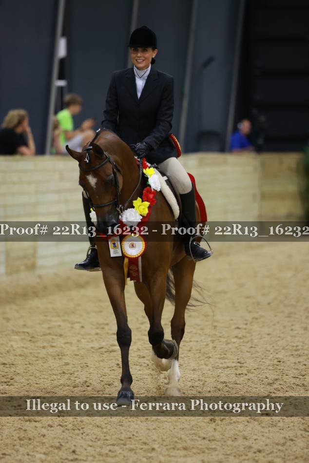 Proof 22R13_16232