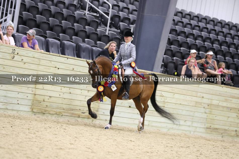 Proof 22R13_16233