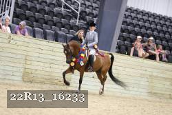 22R13_16233 proof