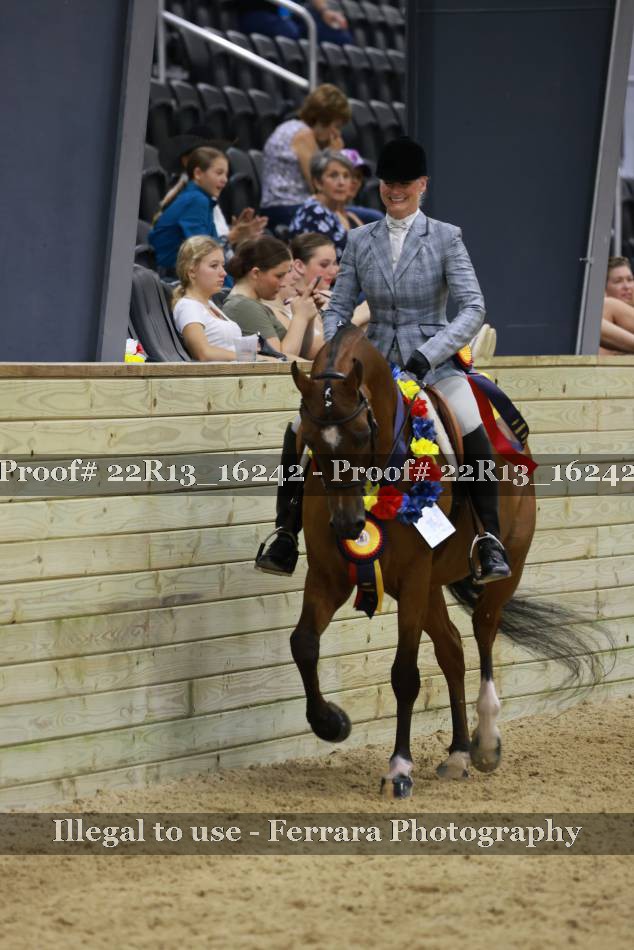 Proof 22R13_16242