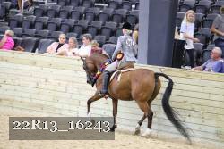 22R13_16243 proof