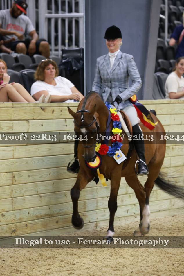 Proof 22R13_16244
