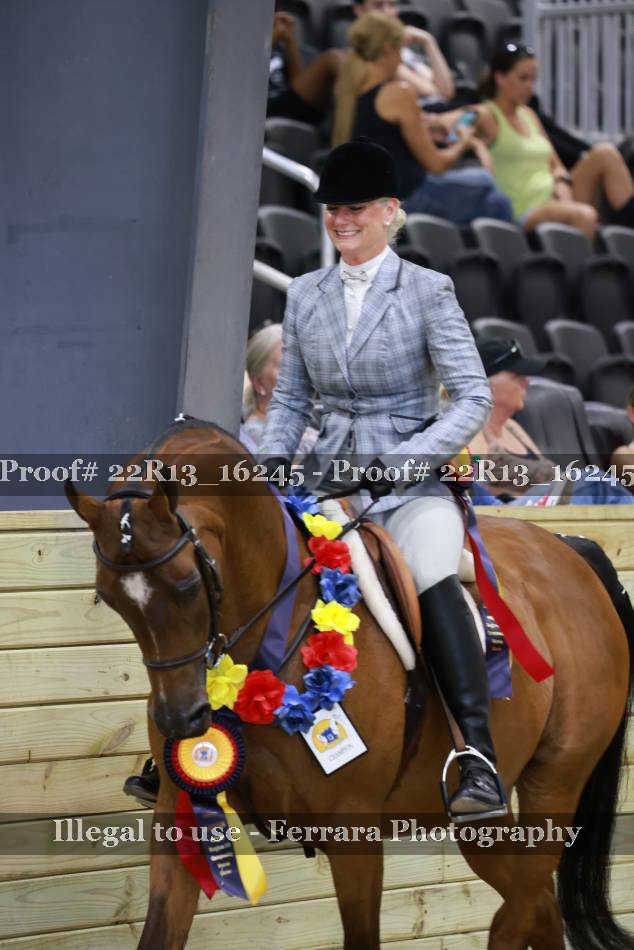 Proof 22R13_16245