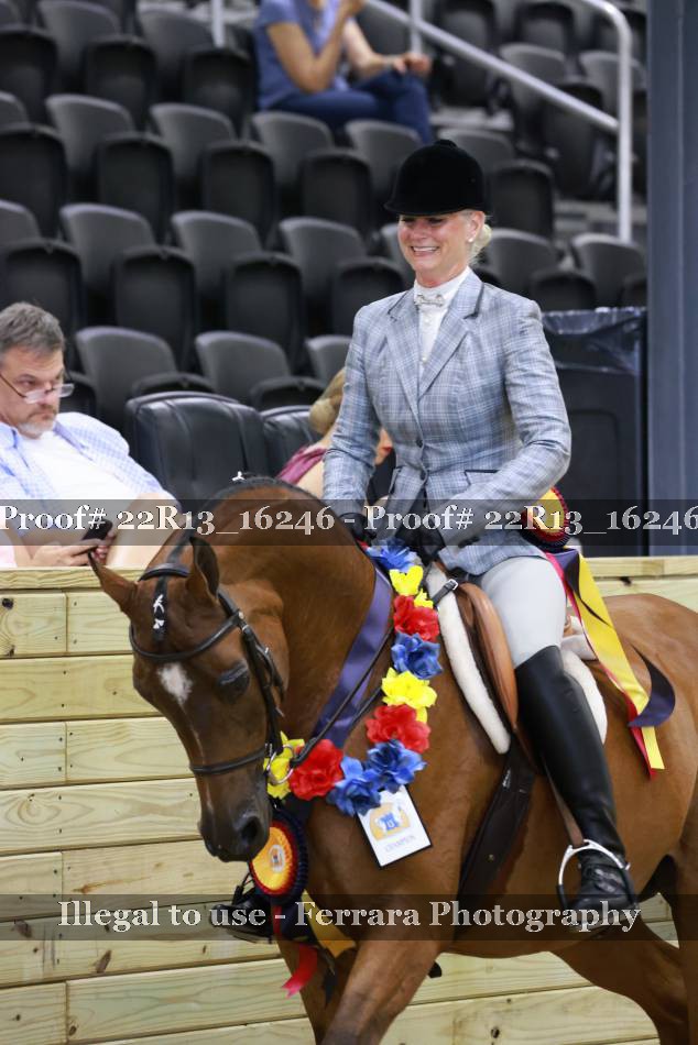 Proof 22R13_16246