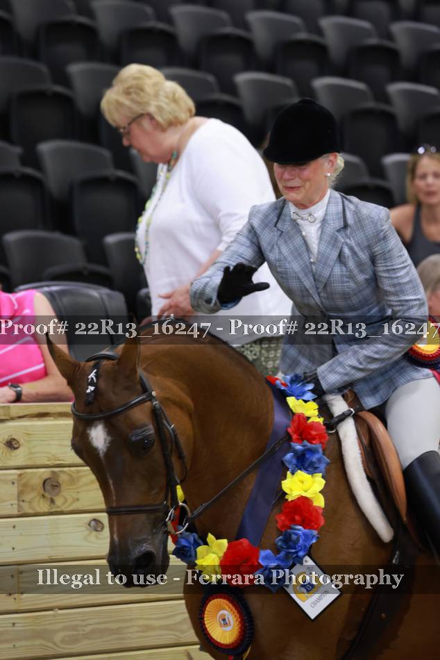 Proof 22R13_16247