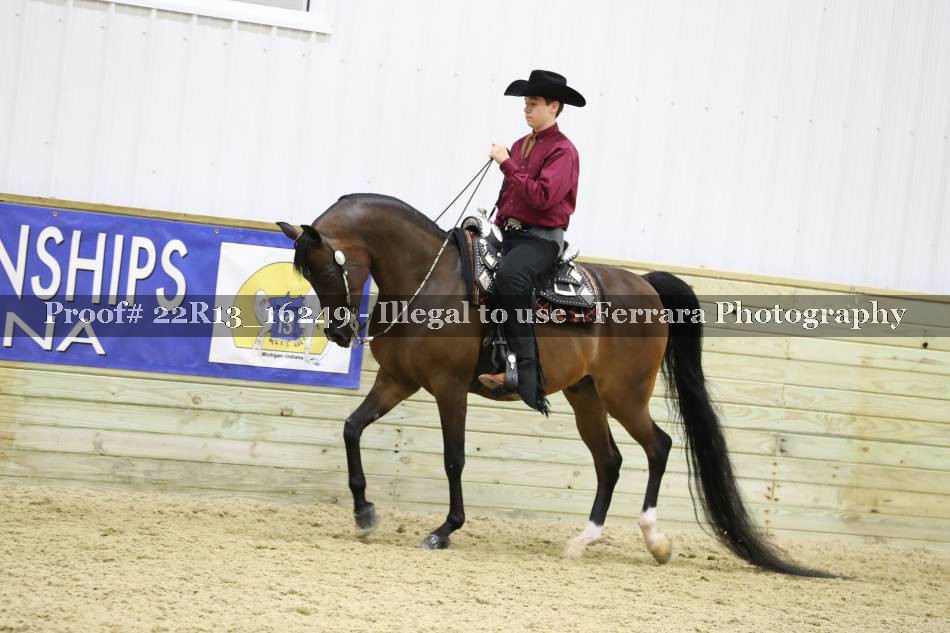 Proof 22R13_16249