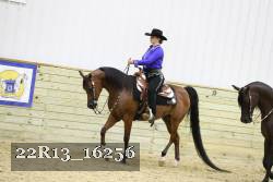 22R13_16256 proof