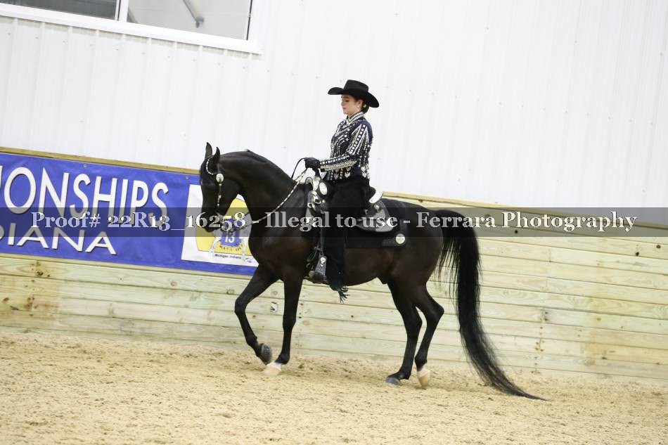 Proof 22R13_16258