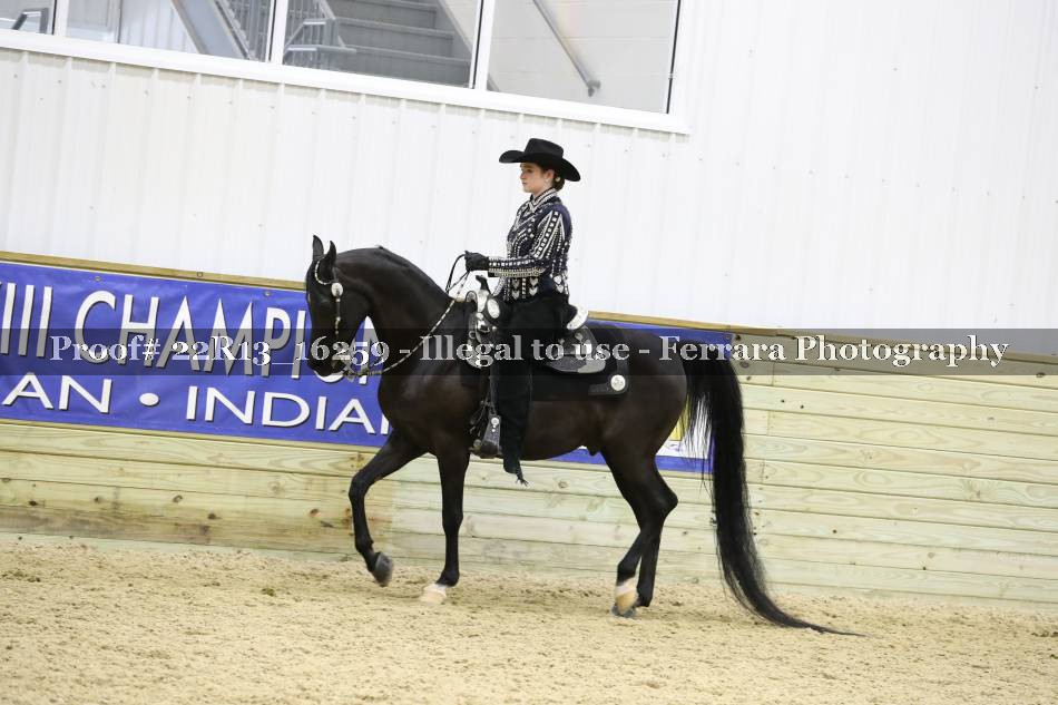 Proof 22R13_16259
