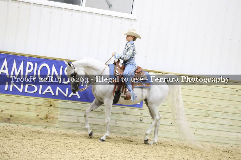 Proof 22R13_16263