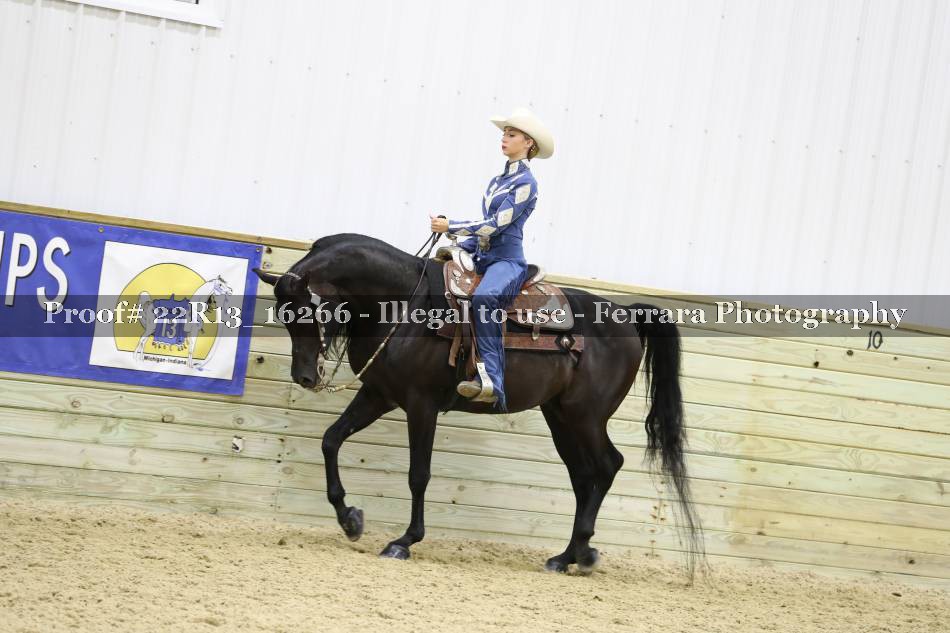 Proof 22R13_16266
