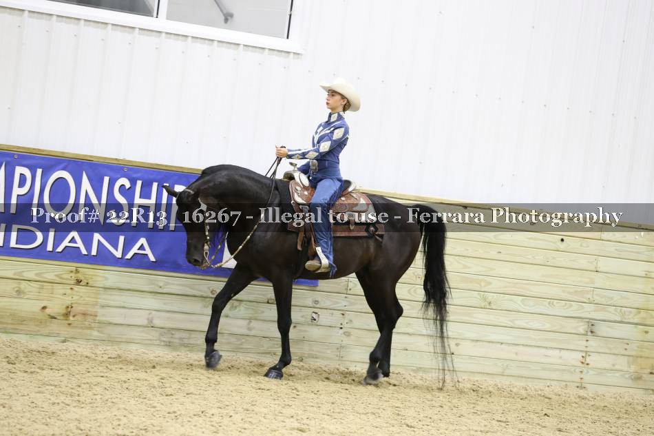 Proof 22R13_16267
