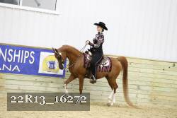 22R13_16272 proof
