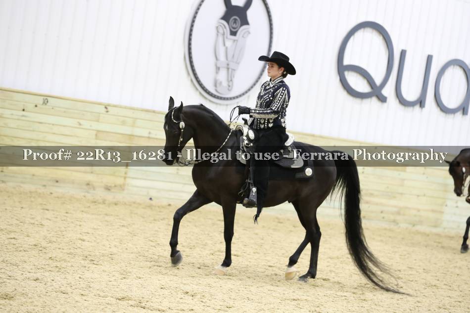 Proof 22R13_16281