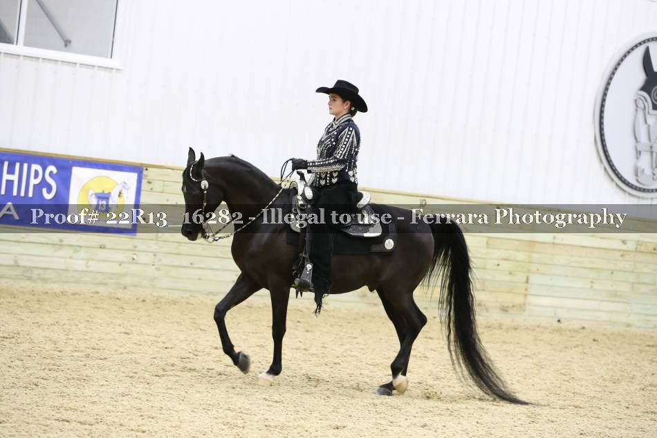 Proof 22R13_16282